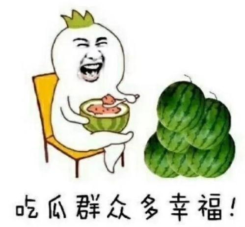 可以吃娱乐圈的瓜吗